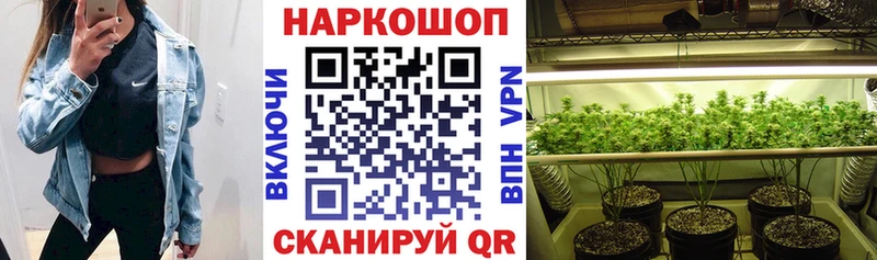 Что такое Сысерть ГАШ  A-PVP  ссылка на мегу маркетплейс  АМФ  Марихуана  Мефедрон 