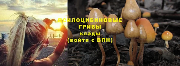 кристаллы Абаза