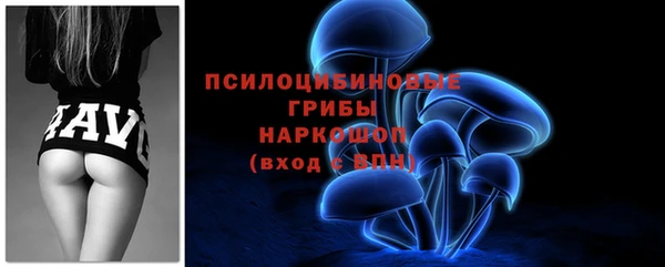 гидропоника Медвежьегорск