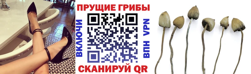 Псилоцибиновые грибы мухоморы ОМГ ОМГ ссылки Сысерть наркотики